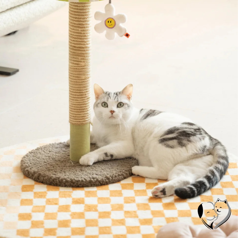 Pet Lamp Scratcher